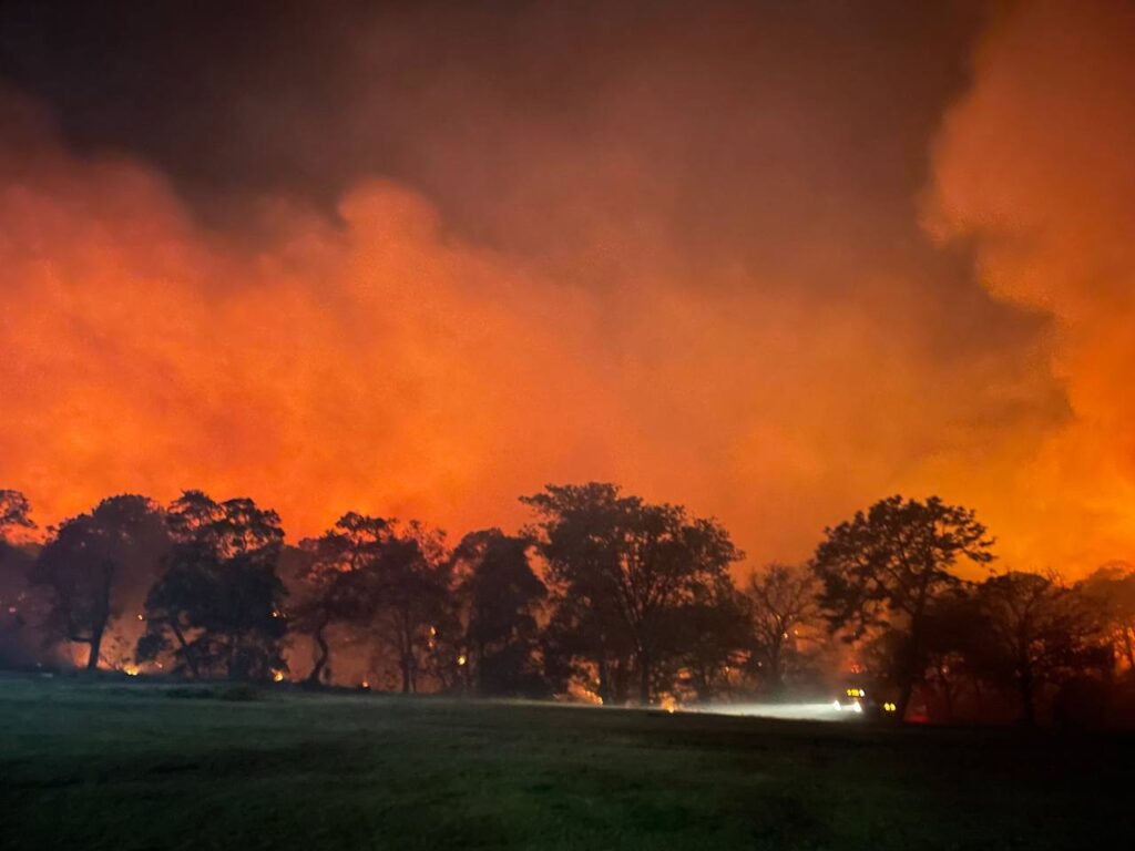 Detienen a presunto responsable de incendio en el Bosque de la Primavera
