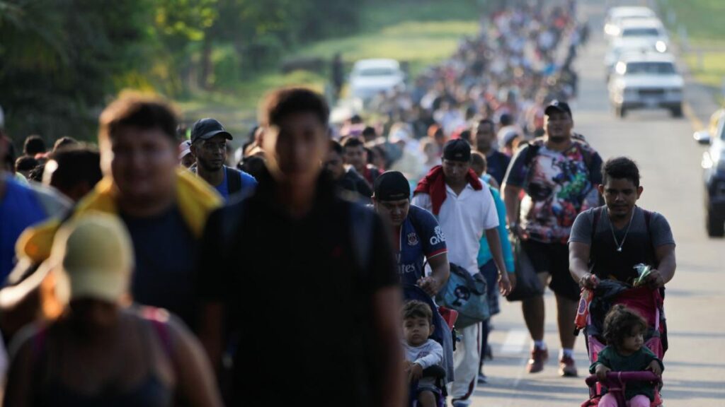 Casi 8 mil migrantes murieron o desaparecieron en 2025: OIM