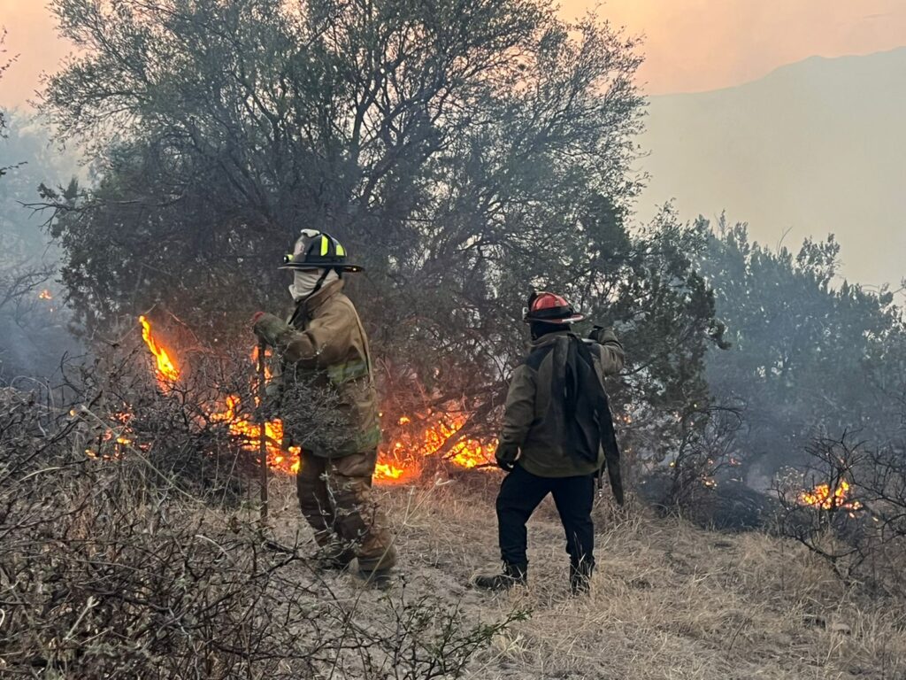 Controlan incendio forestal en Santiago tras intensa movilización de bomberos