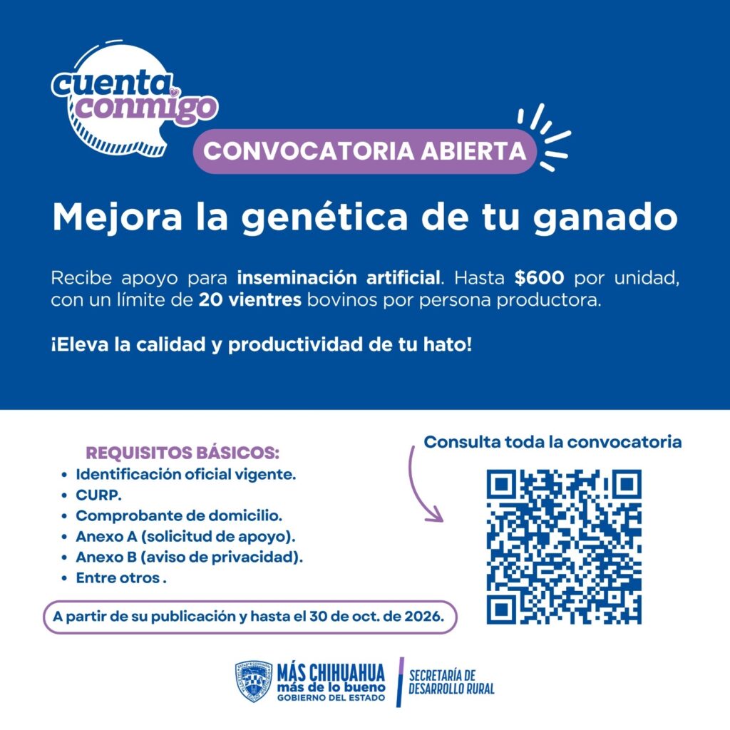 Disponible apoyo para mejoramiento genético bovino con inseminación artificial en Chihuahua