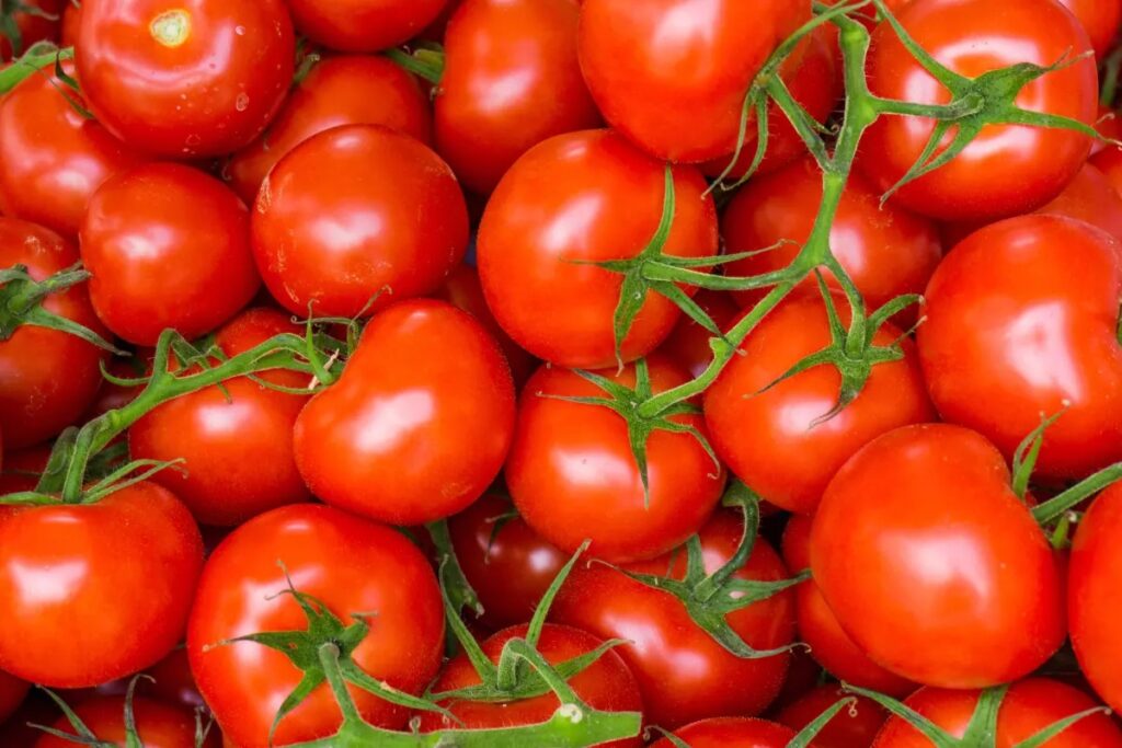Precio del jitomate se dispara 126.3% y encarece la canasta básica
