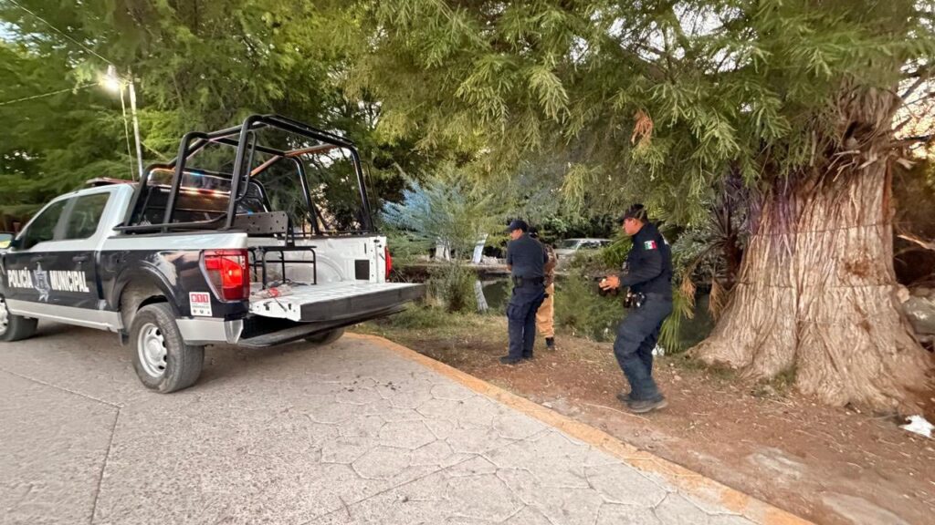 Elementos de Seguridad Llevan a Cabo Limpieza en Paraje de Nombre de Dios