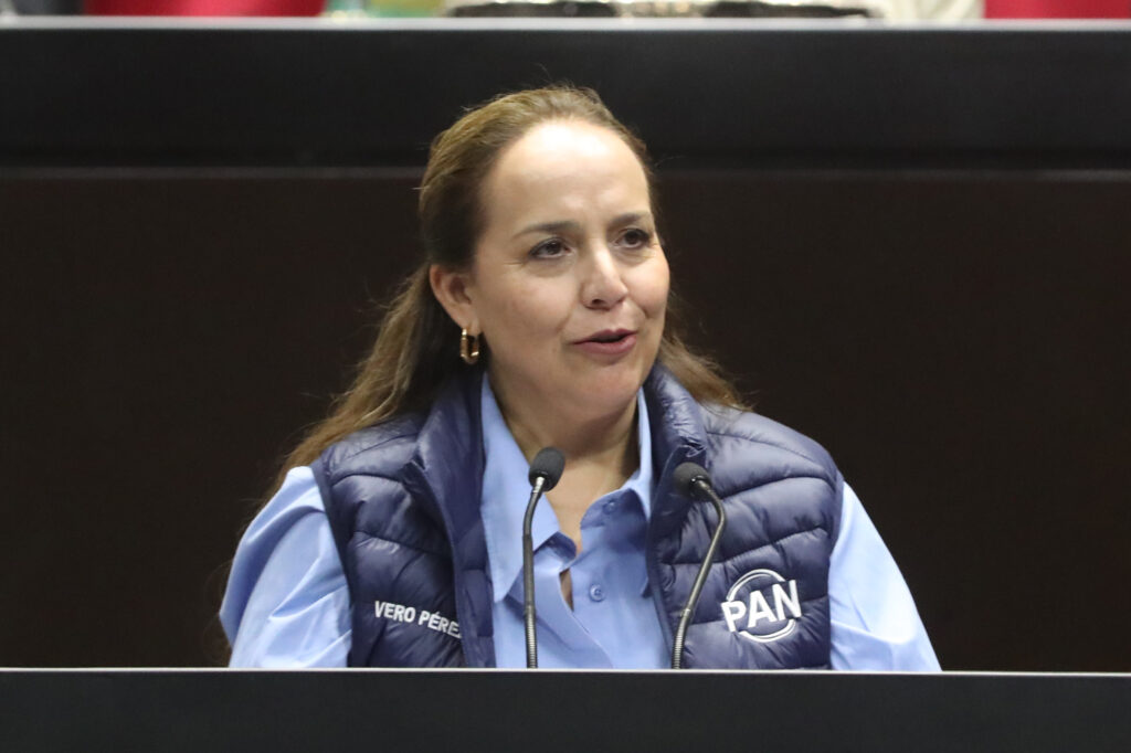 PAN plantea reforma para que apoyos a mujeres emprendedoras sí lleguen