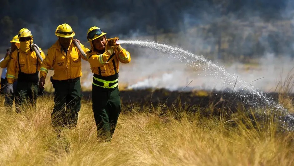 México reporta 22 incendios forestales activos en seis estados