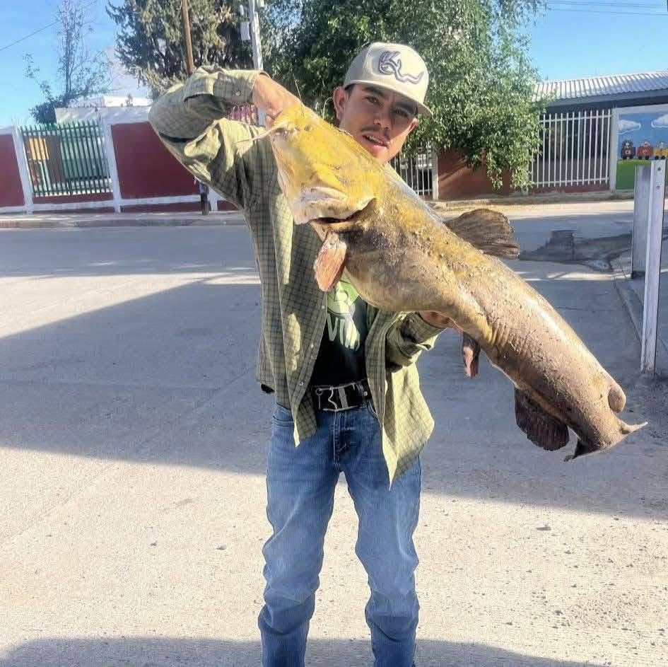 Impresionante hallazgo por pescadores