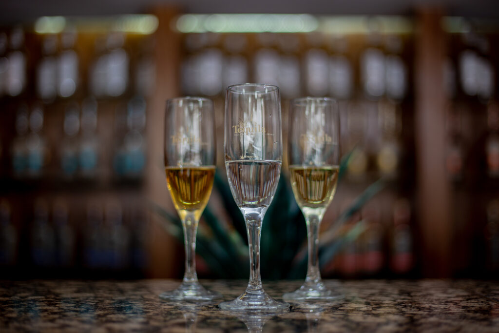 Declaran el 24 de julio como Día Nacional del Tequila en México