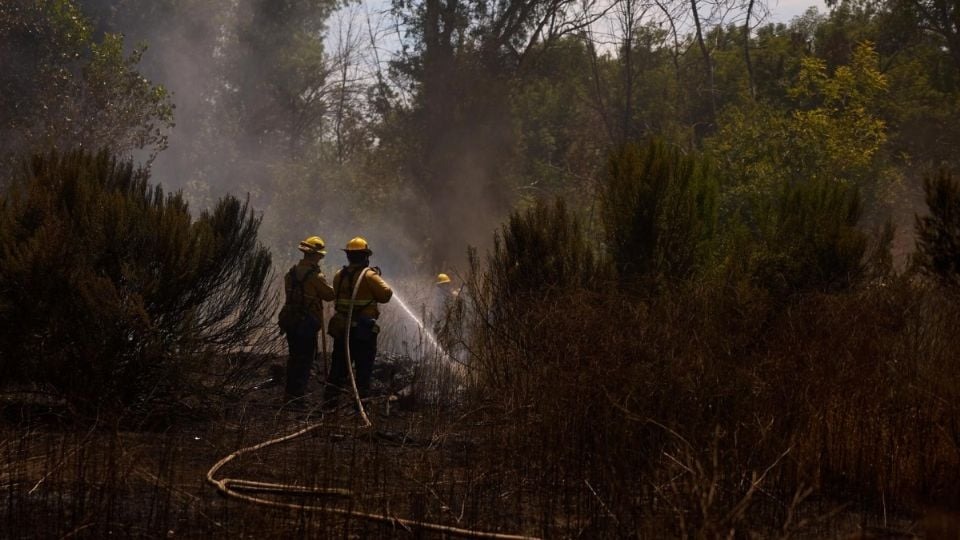 Latinos constituyen el 80% de la mano de obra en la recuperación de Los Ángeles tras incendios