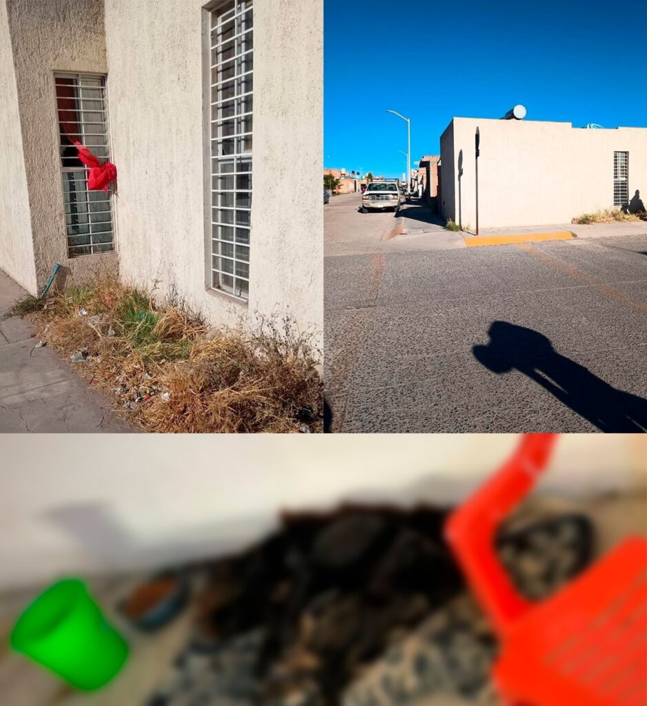 Reportan maltrato animal y un perrito sin vida en una casa