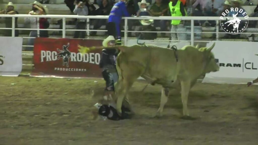 Tragedia en rodeo: muere jinete tras brutal patada en Chihuahua