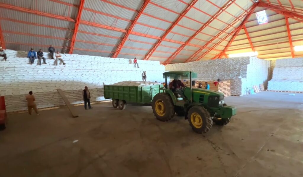 Frijol en Durango se pagará a 27 pesos hasta abril; después bajará a 16, advierten productores