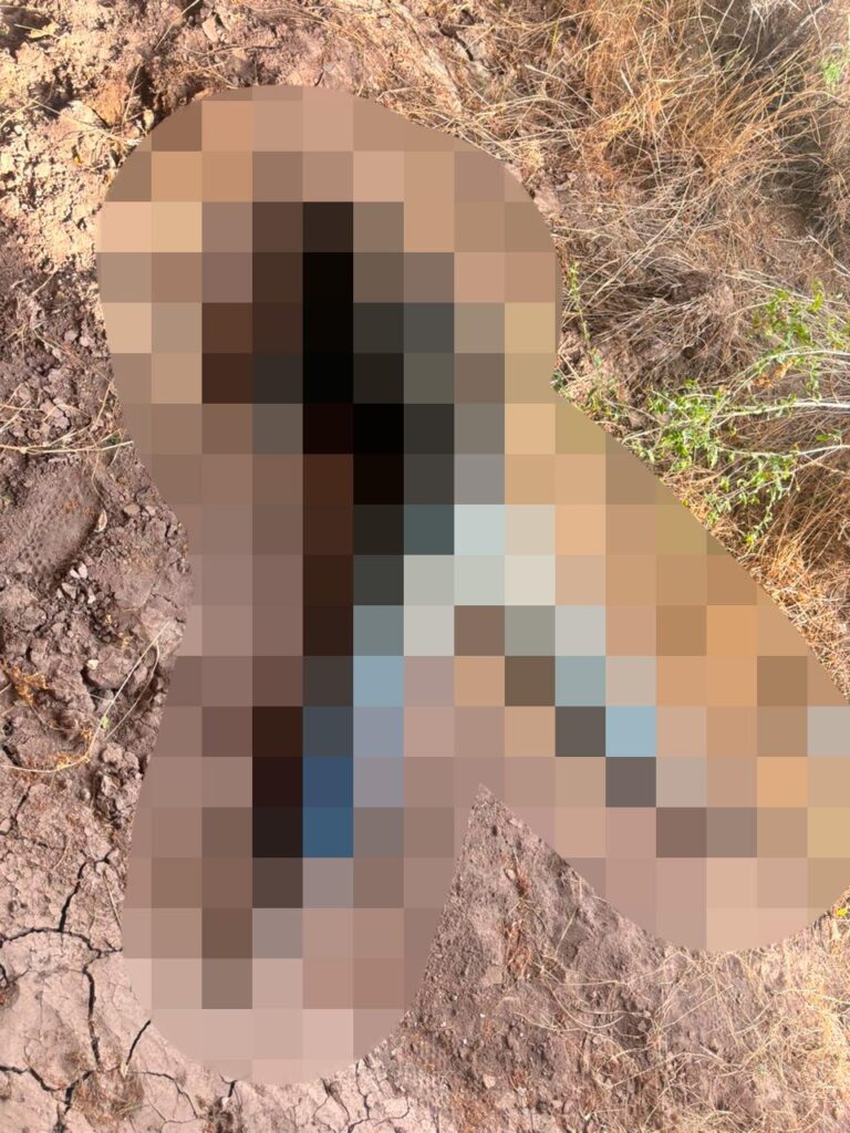 Debajo de un puente encuentran sin vida a una mujer