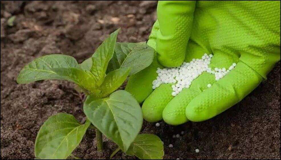 Planta de fertilizantes Fermachem no tenía dinero ni permisos; iniciará en semanas en Durango