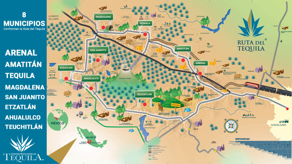Ruta del Tequila cumple 20 años como motor del turismo cultural en México