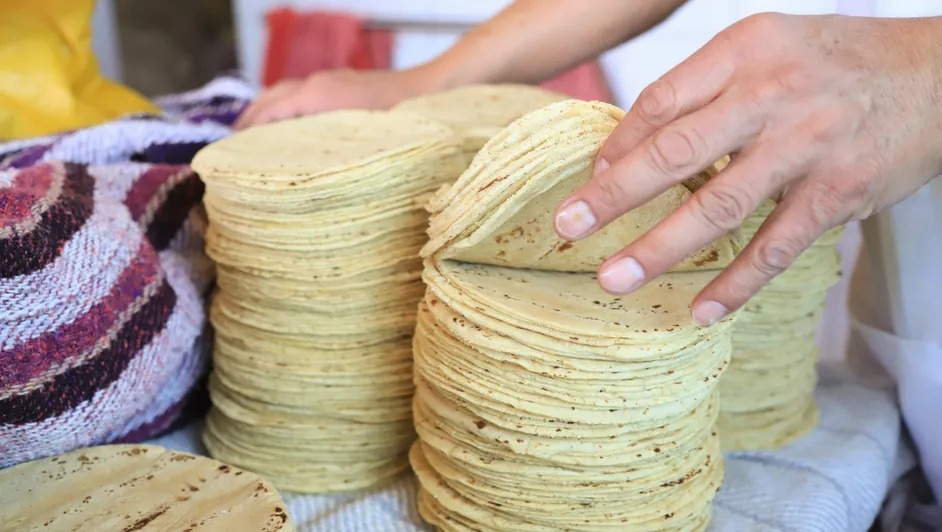 ¿Aumentará el precio de la tortilla en abril? Sheinbaum responde