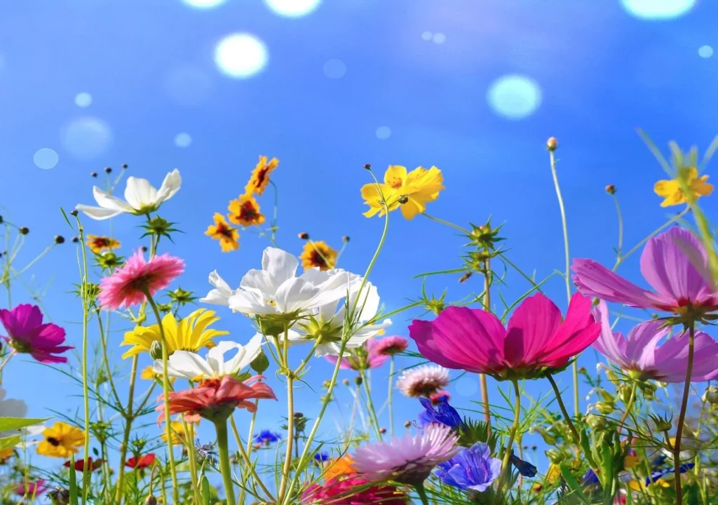 Equinoccio de primavera: ¿Por qué no es siempre en la misma fecha y hora?