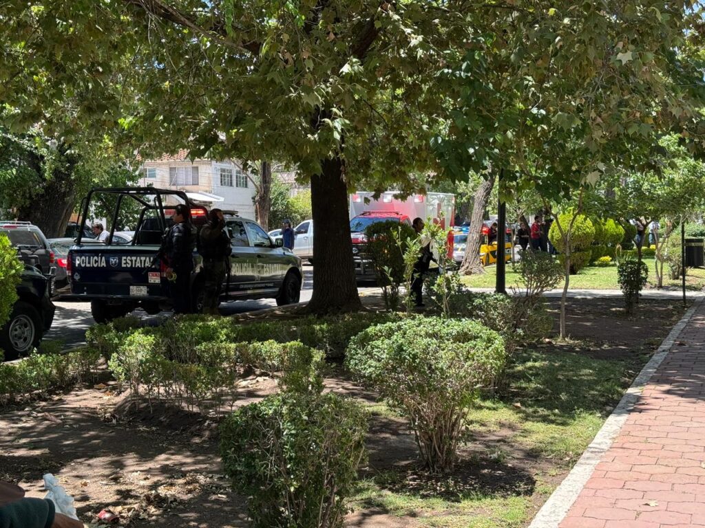 Por disparo de arma de fuego pierde la vida en plena calle