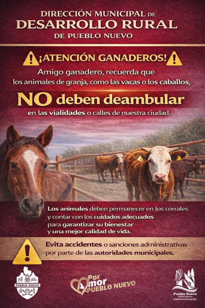 Alertan por ganado suelto en calles
