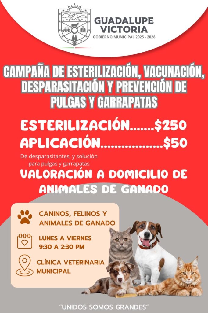 Implementa Gobierno de Guadalupe Victoria campaña permanente de salud animal