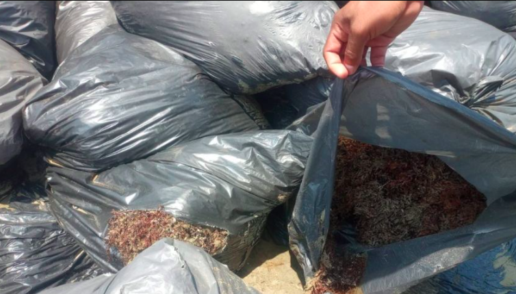 Secretaría de Marina descarta presencia de hidrocarburos en playas de Pajapan