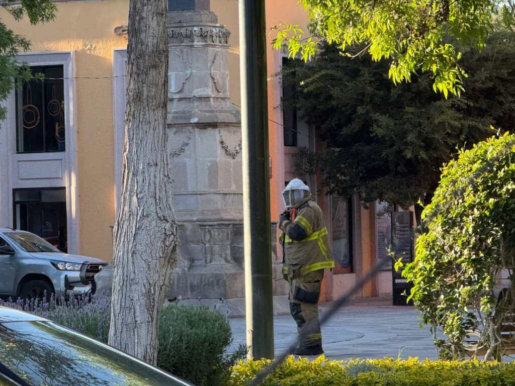 Reportan a 10 personas picadas por abejas en la Plazuela Baca Ortiz