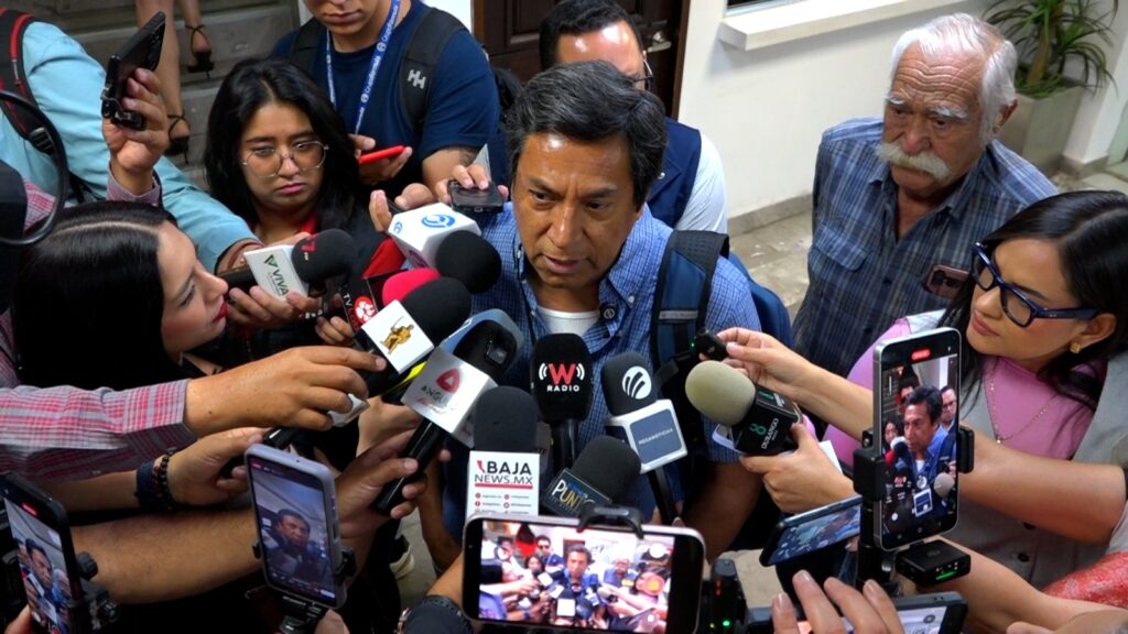Descortezador afecta bosques de pino; San Dimas y Pueblo Nuevo más afectados