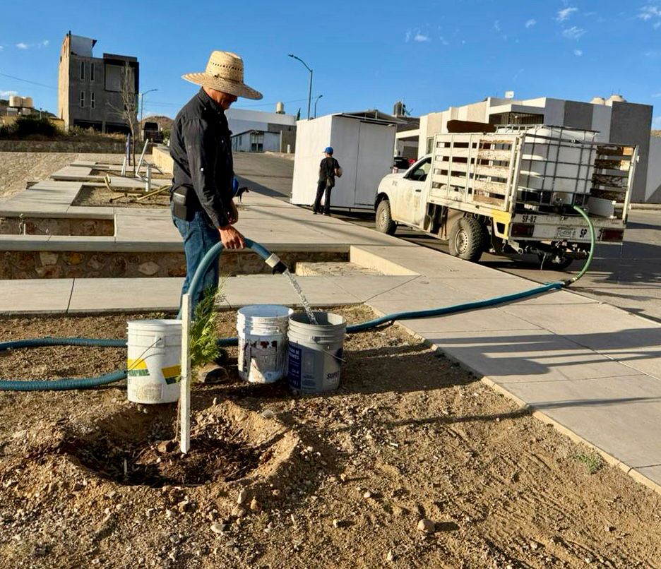 Refuerza Gobierno Municipal mantenimiento integral de áreas verdes en Parral