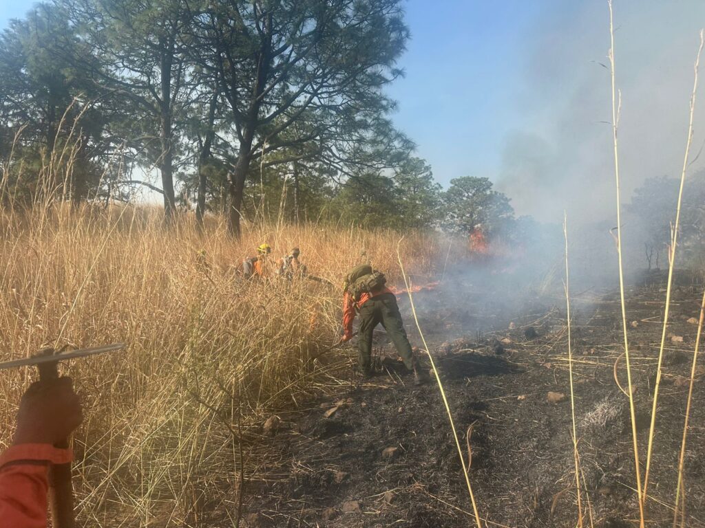 Continúan labores de control y liquidación de incendio en el Cerro El Vigía, en La Yesca