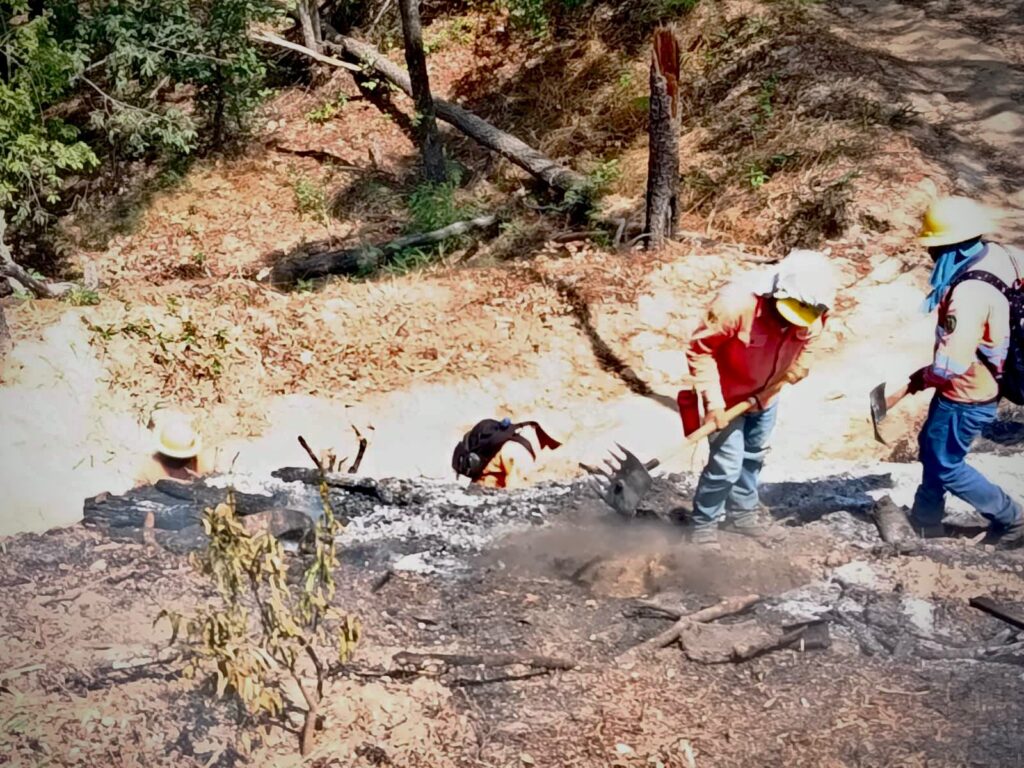 COFONAY atiende y controla conato de incendio en el cerro de San Juan, en Xalisco