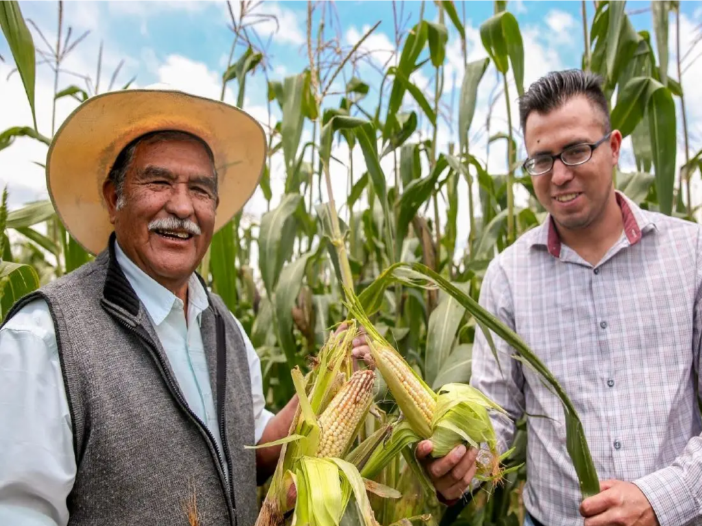 Así serán los depósitos de Producción para el Bienestar 2026