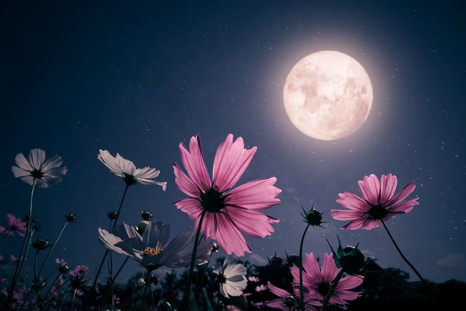 Luna de Flores y Luna Azul iluminarán el cielo durante mayo