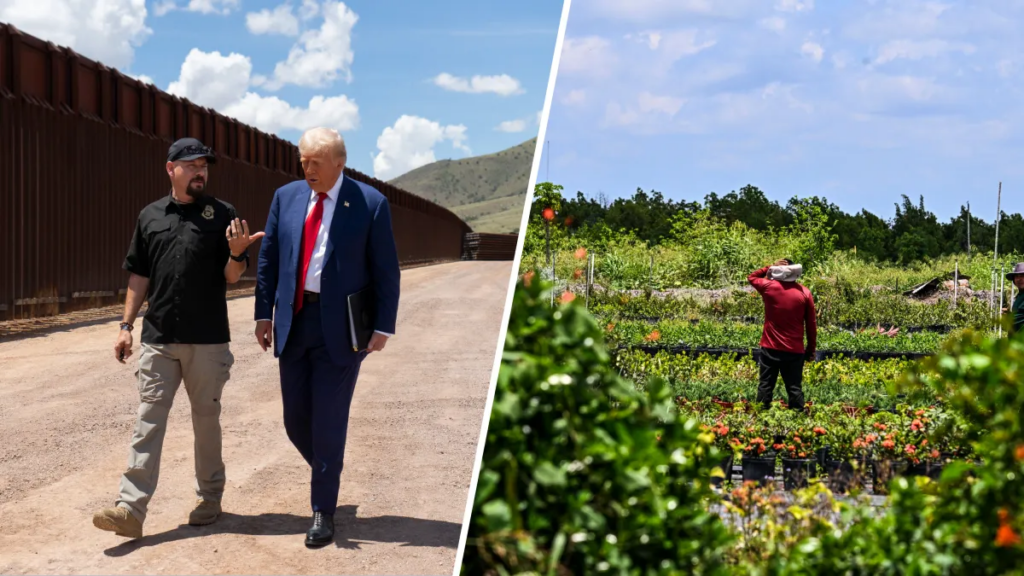 Trump busca equilibrar seguridad y demanda laboral migrante