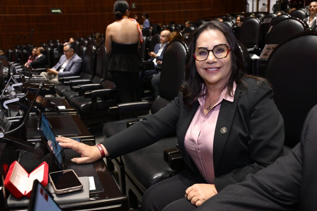 “Se eliminan privilegios”: Martha Olivia García (Morena) defiende beneficios del Plan B