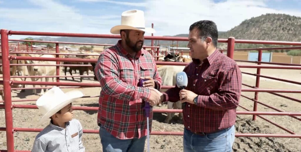 Así mejora la inseminación la reproducción y genética del ganado en la sierra