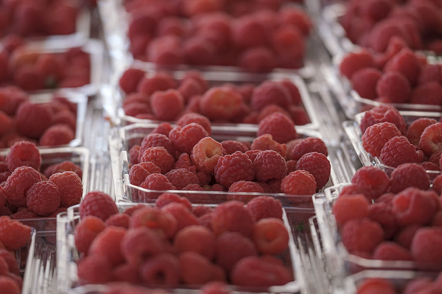 Jalisco fortalece estrategia internacional para posicionar productos agroalimentarios