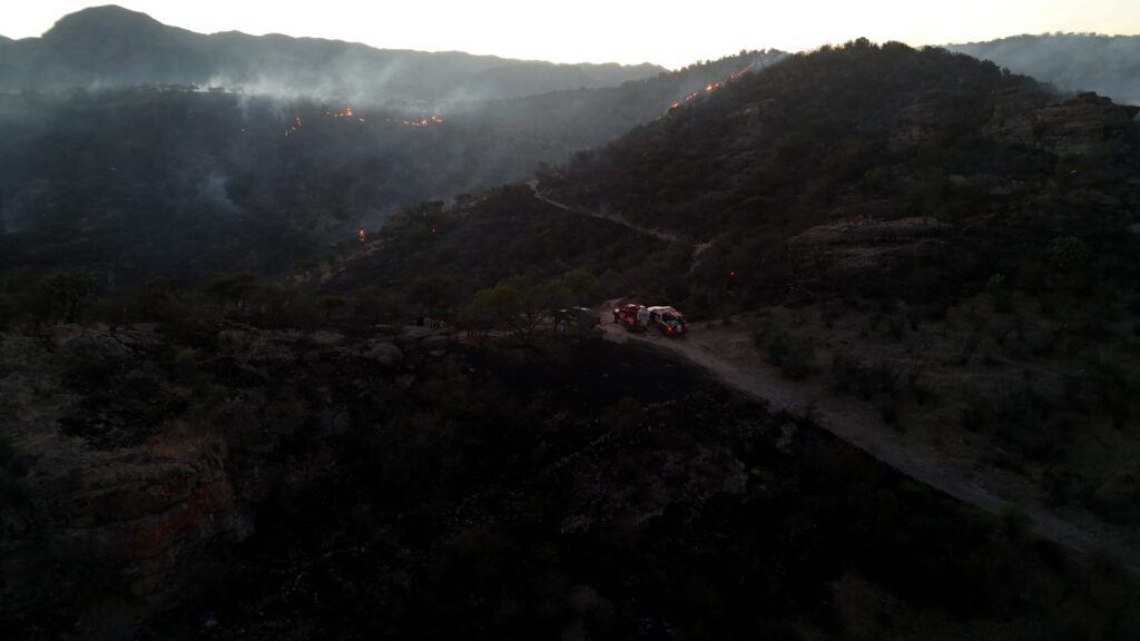 ¡Luego de 24 horas! Incendio forestal en Santiago fue extinguido tras intenso combate