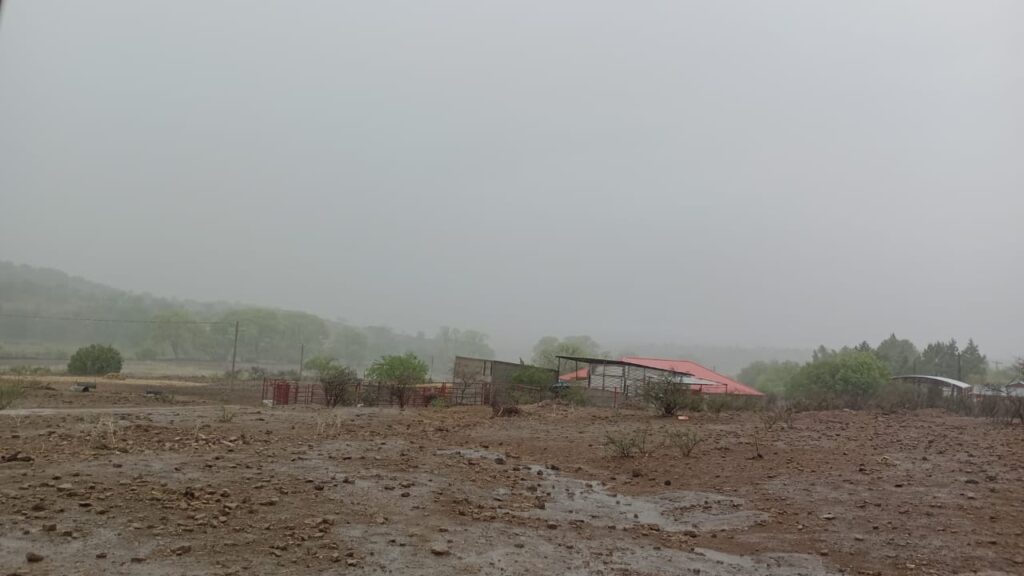 Alerta Protección Civil por viento fuerte y lluvia para los próximos días