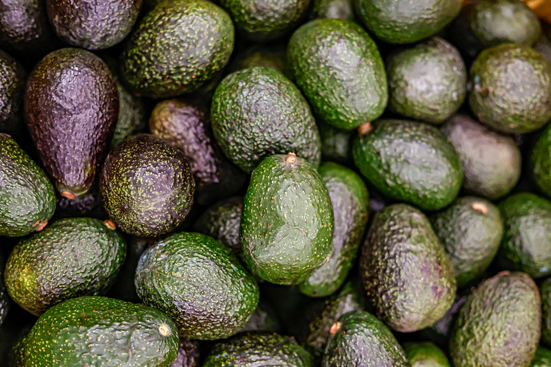 Más de 800 personas participarán en el reto del guacamole gigante en Jalisco