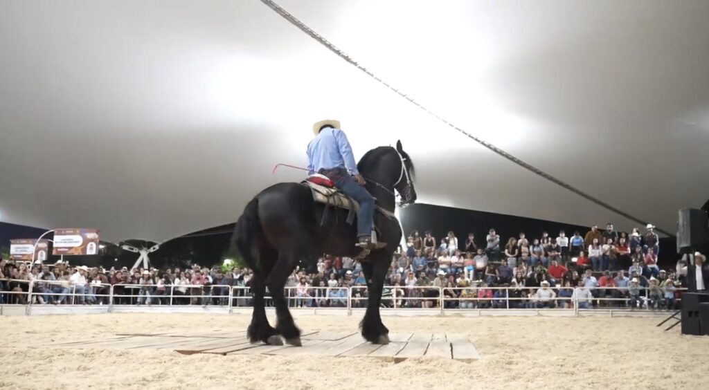 Feria Villista 2026 tendrá nueva arena ecuestre profesional en Durango
