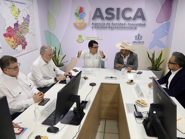 Refuerzan vigilancia por casos de Gusano Barrenador en mascotas