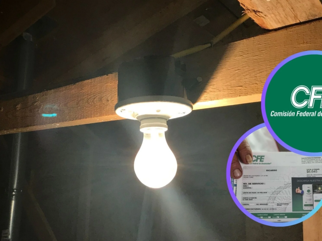 ¿Quiénes no pagarán recibo de luz y tendrán tarifa cero?