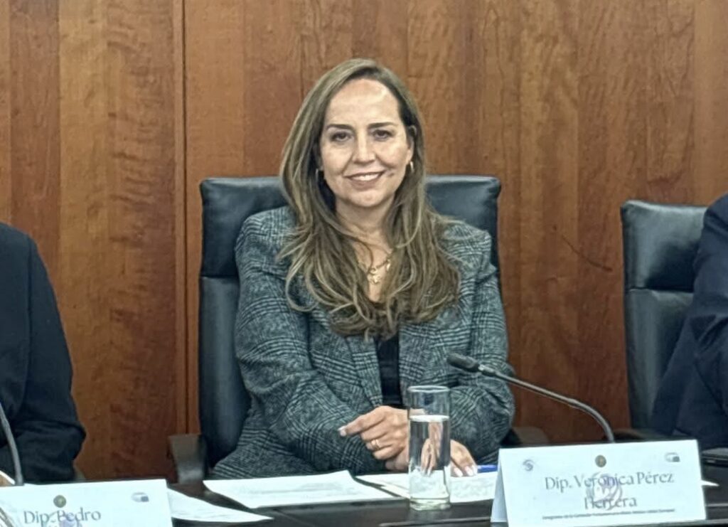 Morena excluyó temas de seguridad del extraordinario: Vero Pérez (PAN)