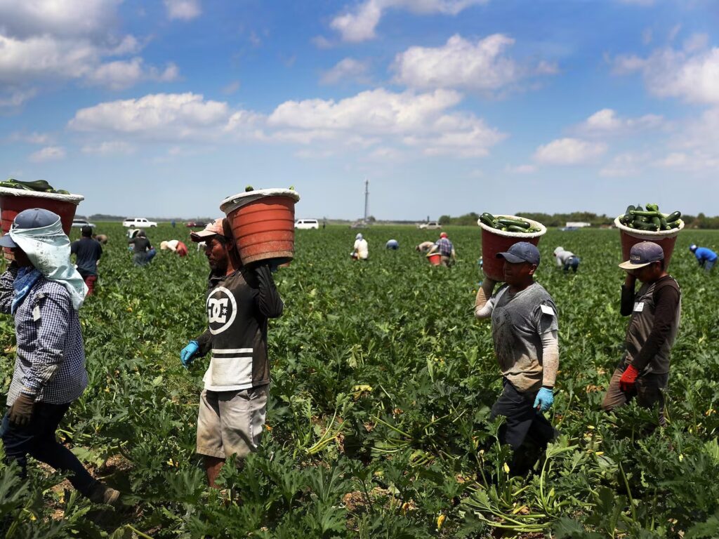 Más de medio millón de migrantes mexicanos pierden su empleo en EU