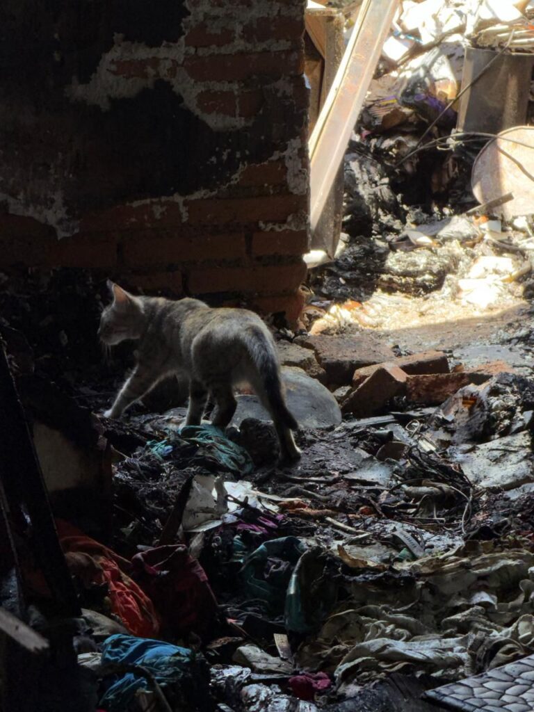 ¡Urge apoyo para la familia Guerrero!; lo perdió todo en un incendio