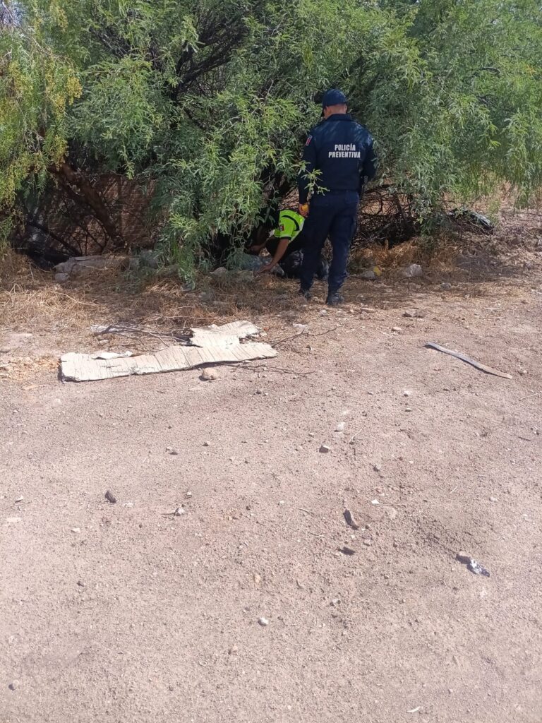 Reportan que bajo un árbol y emplayado atado con una cuerda estaba un cuerpo sin vida, pero…