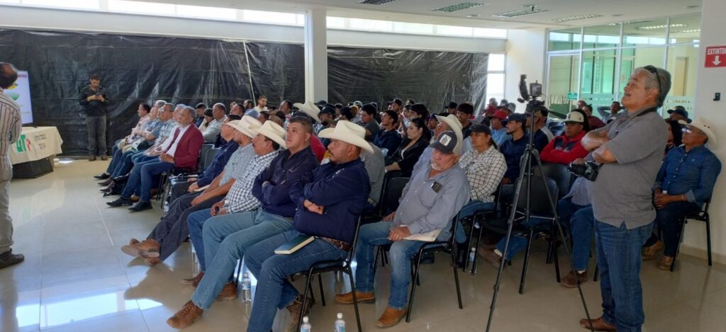 Imparten platica sobre virosis en cultivos de chile; apuestan por producir en Poanas