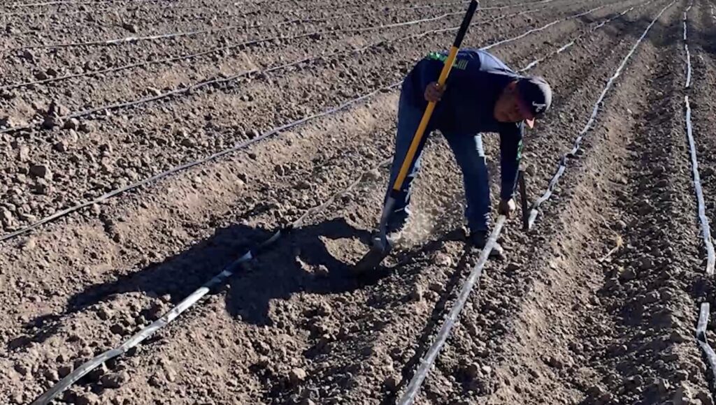 Campesinos de Rodeo tecnifican riego ante menor disponibilidad de agua