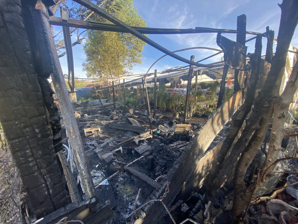 Se incendia cuarto de madera en vivero de avenida Niños Héroes