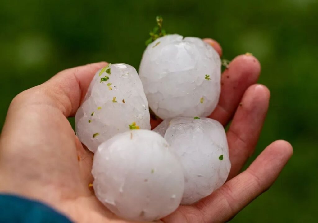 Cambio climático hará que el granizo sea más grande y destructivo