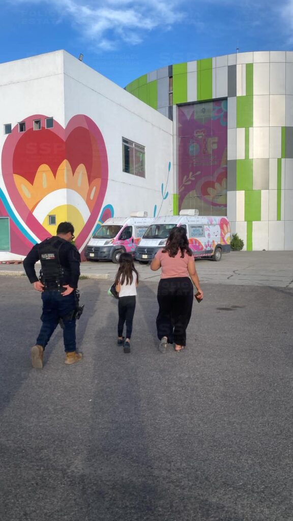 Programa Esmeralda asistió 345 casos de distintos tipos violencia familiar en la última semana