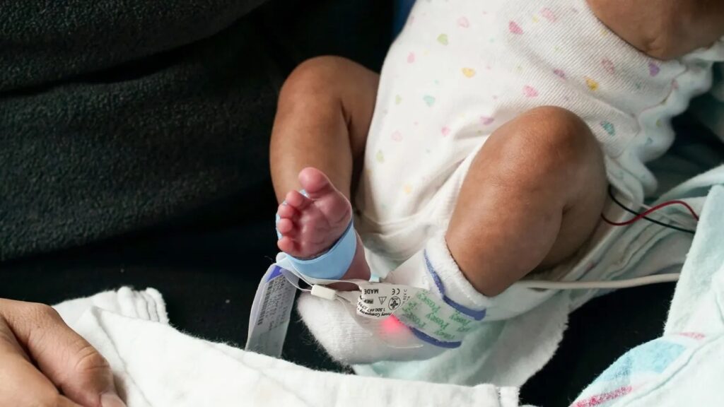 Hijos de inmigrantes podrán acceder a las nuevas «Cuentas Trump»
